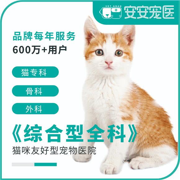 安安宠医(松江宠安分院):上海城区松江区莘庄工业区附近