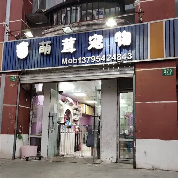星级宠物:上海城区松江区叶榭镇附近