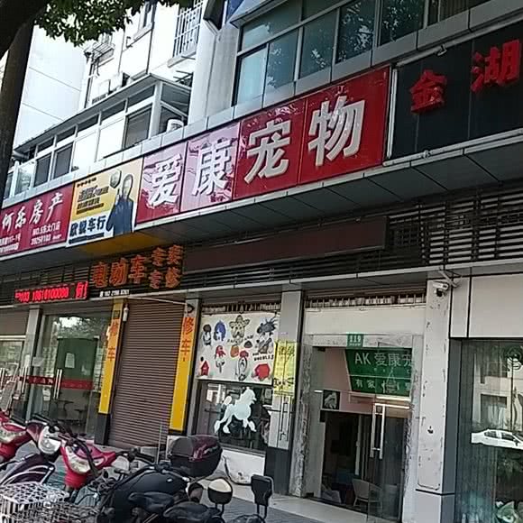 爱康宠物(朱家角店):上海城区青浦区朱家角/东方绿舟附近