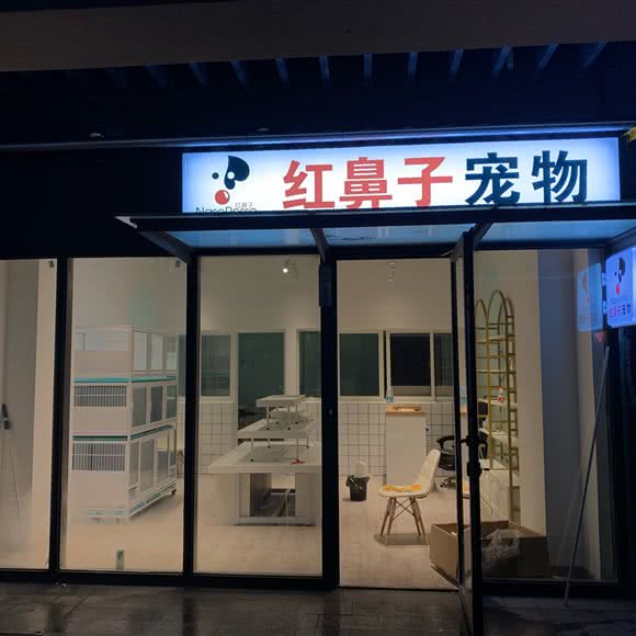 红鼻子宠物:上海城区青浦区朱家角/东方绿舟附近