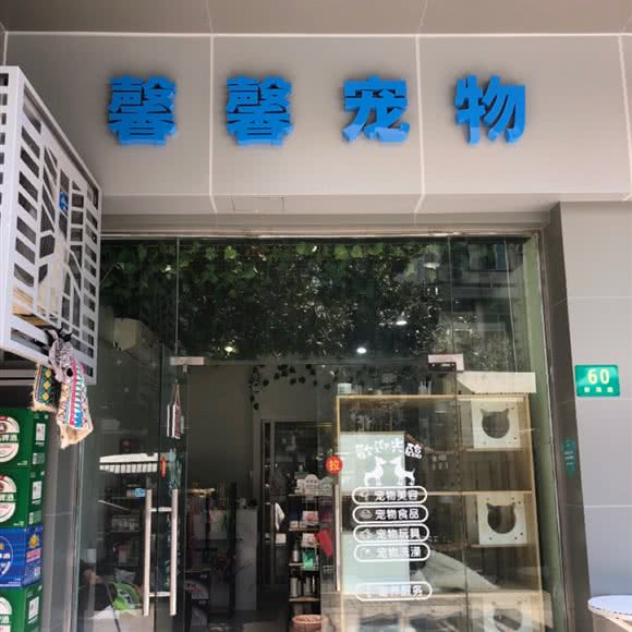馨馨宠物:上海城区青浦区青浦城区附近