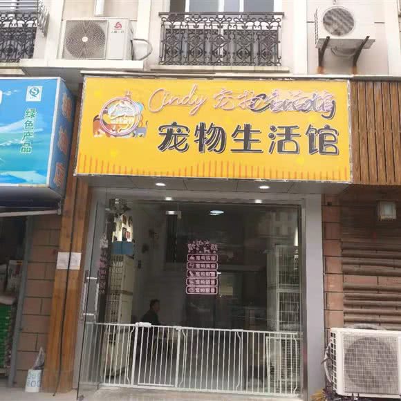 Cindy宠物生活馆:上海城区青浦区青浦城区附近