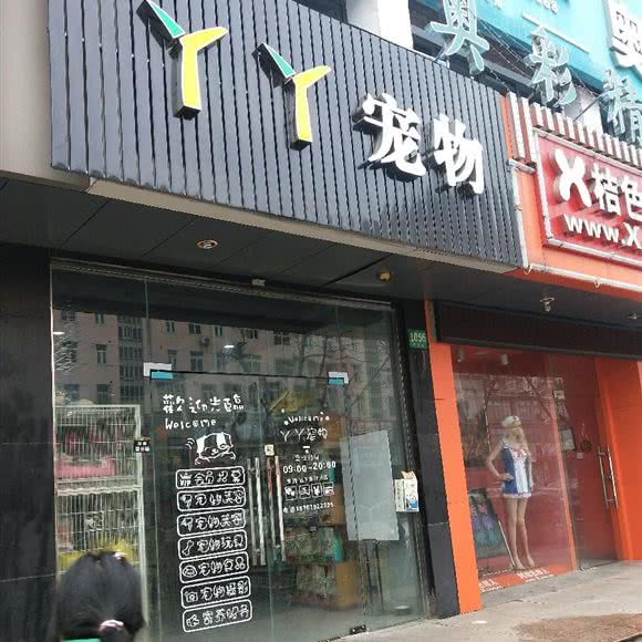 丫丫宠物:上海城区青浦区青浦城区附近