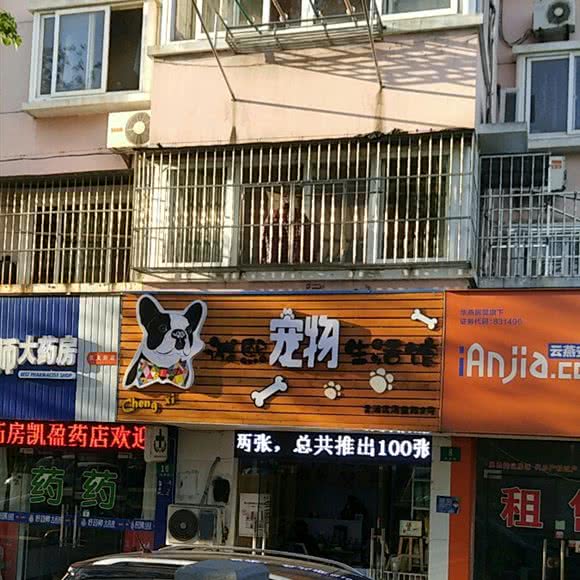 诚熙宠物生活馆:上海城区青浦区青浦城区附近