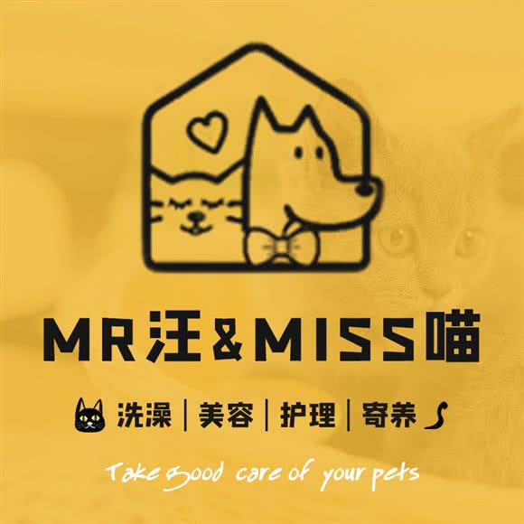 Mr汪&Miss喵:上海城区青浦区青浦城区附近