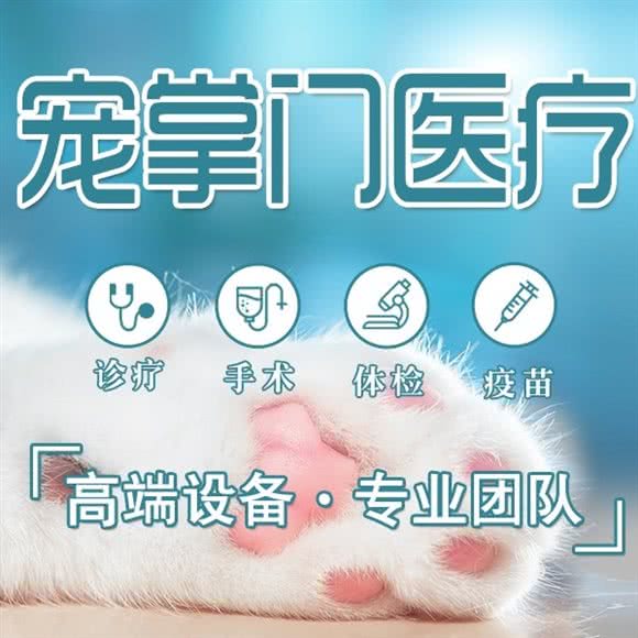 宠掌门宠物诊疗中心(青浦旗舰店):上海城区青浦区青浦城区附近