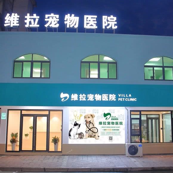 维拉宠物医院:上海城区青浦区青浦城区附近