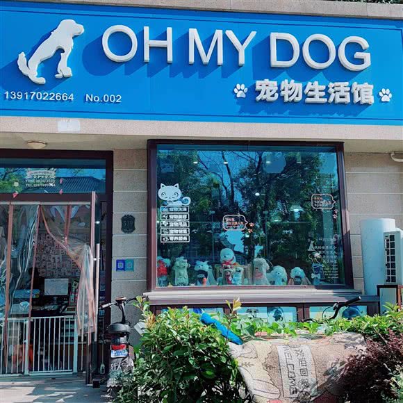 OH MY DOG宠物生活馆:上海城区青浦区徐泾附近