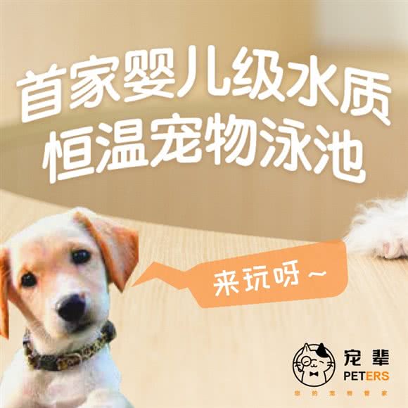 PETERS宠辈宠物馆·小宠售卖·萌宠互动:上海城区青浦区赵巷镇附近