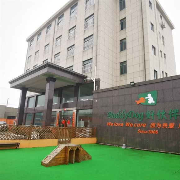 BuddyDog好伙伴宠物训练寄养酒店(奉贤店):上海城区奉贤区海湾旅游区附近