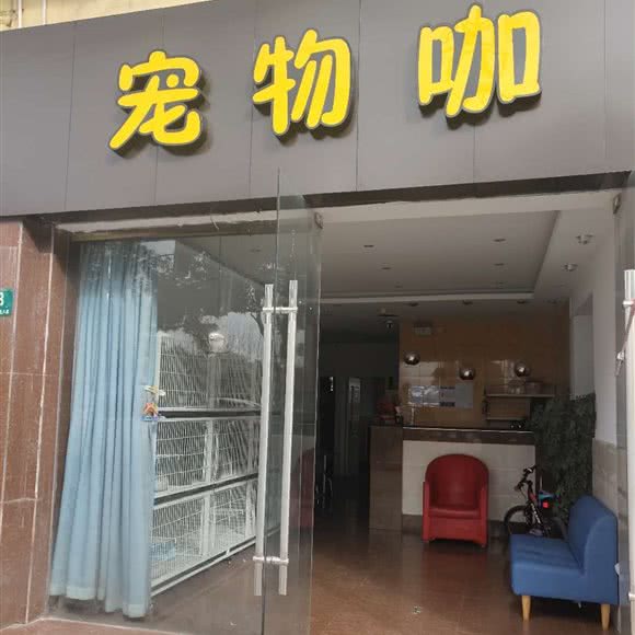 宠物咖(奉贤海湾店):上海城区奉贤区海湾旅游区附近