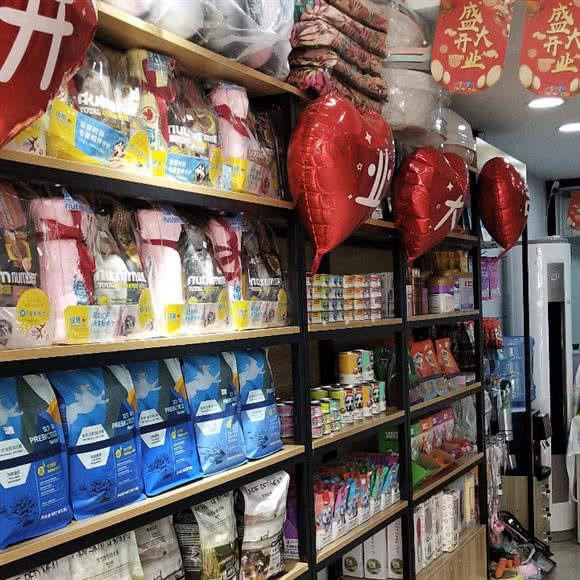 淘淘宠物店:上海城区奉贤区南桥附近