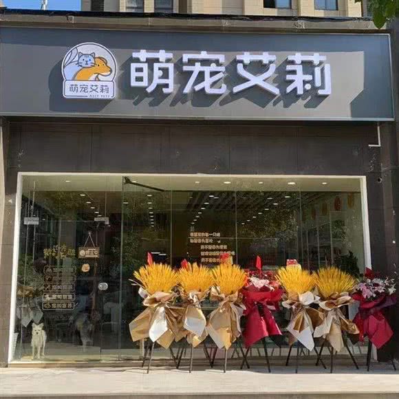 萌宠艾莉(卓越世纪中心)(百富路店):上海城区奉贤区南桥附近