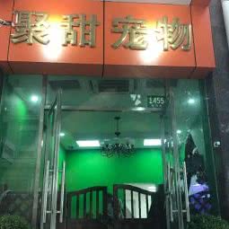 聚甜宠物商店:上海城区奉贤区南桥附近