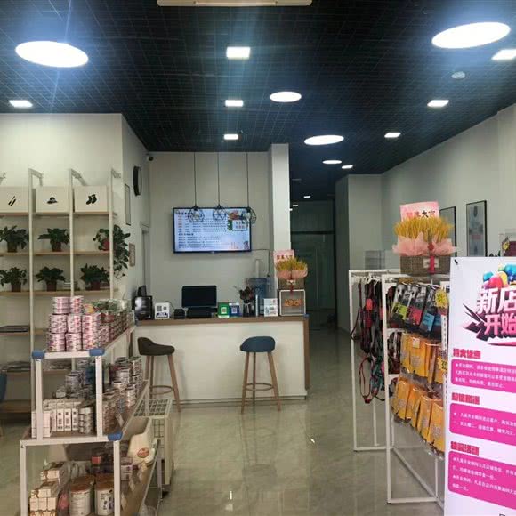 派多格宠物(奉浦店):上海城区奉贤区易买得附近