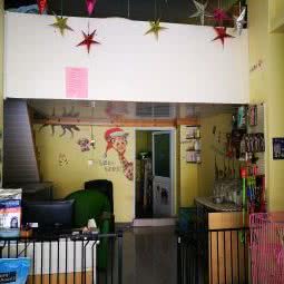 毛小孩宠物美容训练寄养中心:上海城区奉贤区西渡镇附近