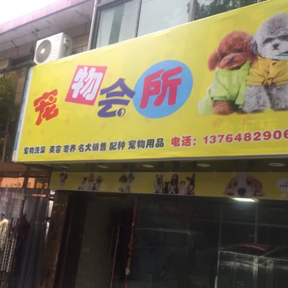 宠物会所:上海城区奉贤区金汇镇附近