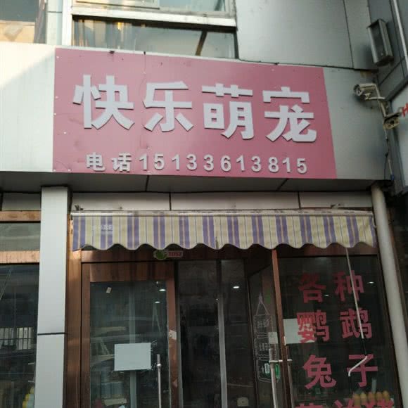 快乐萌宠:北京城区房山区良乡附近