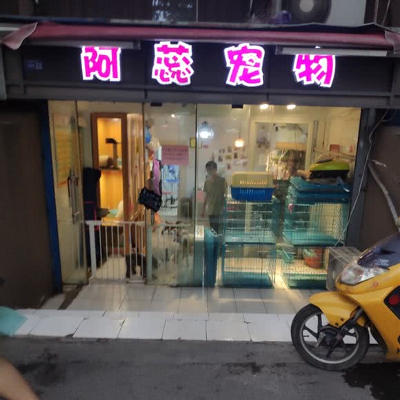 阿蕊宠物:南京市玄武区火车站/玄武湖附近