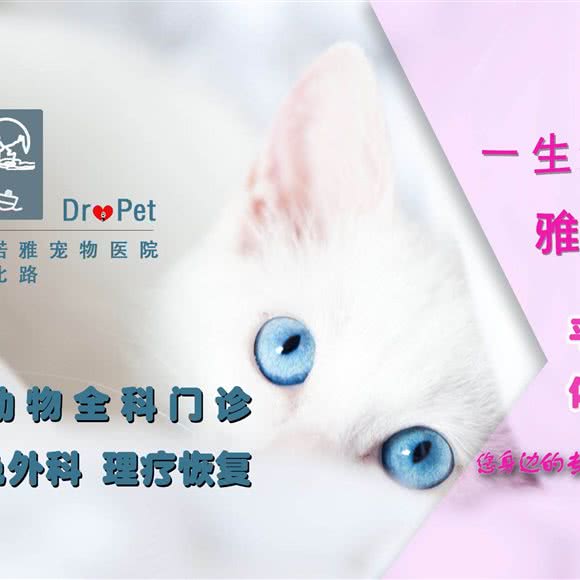 诺雅宠物医院(迈皋桥分店):南京市玄武区营苑北路/墨香路附近