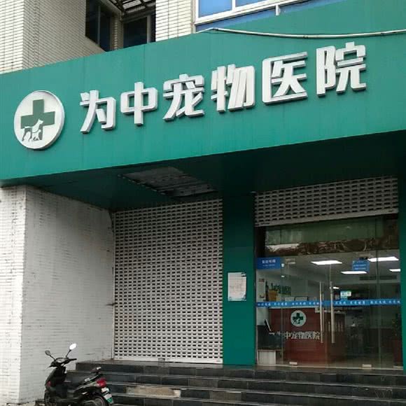 为中宠物医院:南京市玄武区明故宫/后宰门附近