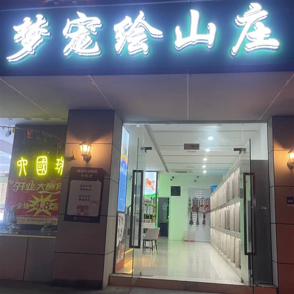 梦宠绘山庄?幼犬专售?南京犬舍:南京市秦淮区常府街/长白街附近