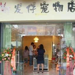 宠缘宠物:南京市秦淮区瑞金路沿线附近