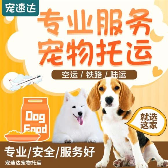 南京宠速达宠物托运:南京市建邺区建邺万达附近