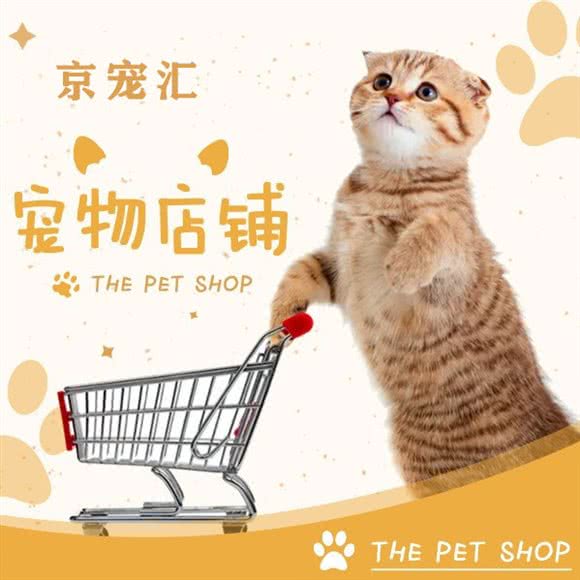 京宠汇 宠物猫猫专卖:南京市建邺区建邺万达附近