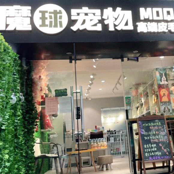 魔球宠物(所街店):南京市建邺区莫愁湖/水西门附近