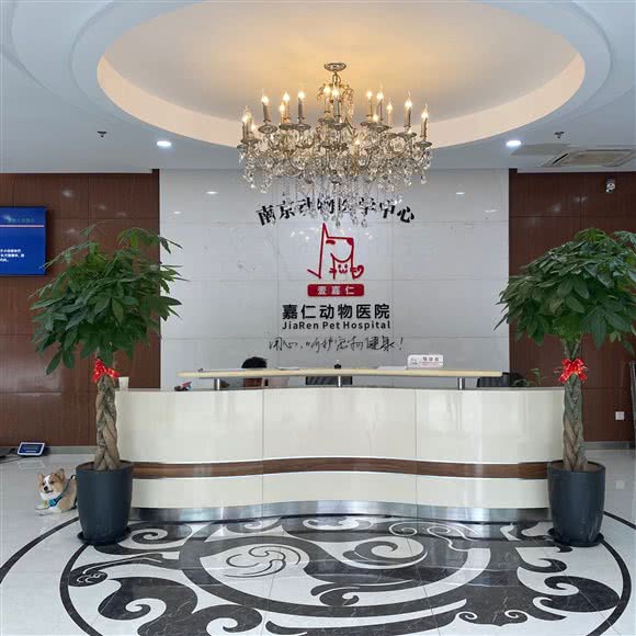 嘉仁宠物医院·24Hours(庐山路店):南京市建邺区国际博览中心/元通附近