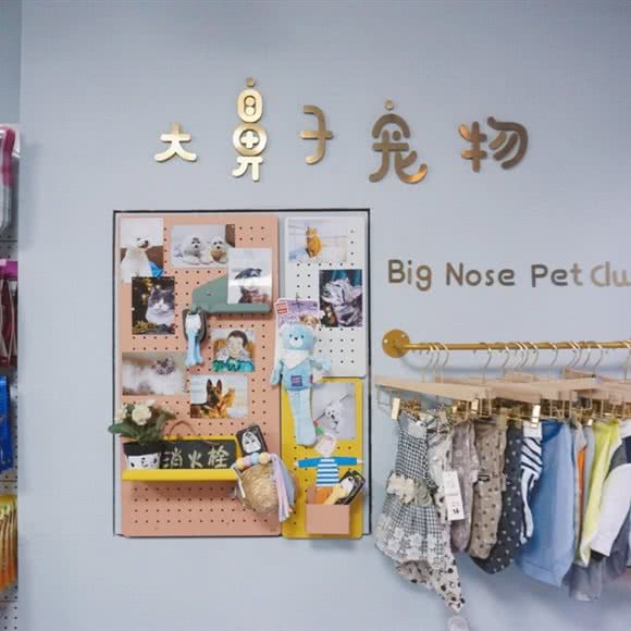 大鼻子宠物:南京市建邺区应天大街/文体路附近