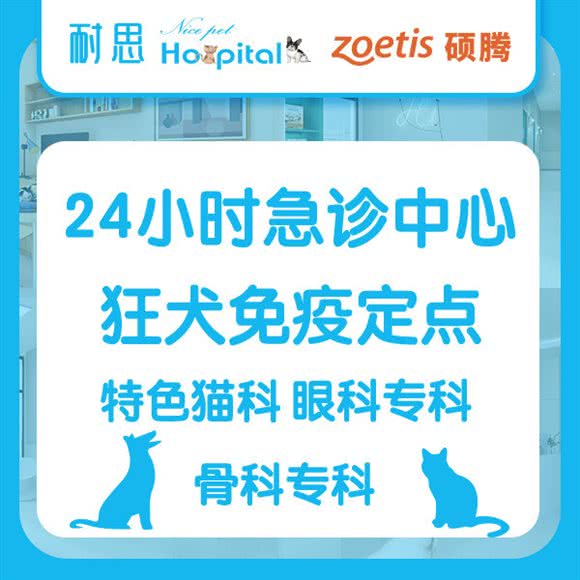 耐思宠物医院·特色猫科·骨科中心·眼科中心(24H虹悦城怡康街店):南京市建邺区应天大街/文体路附近