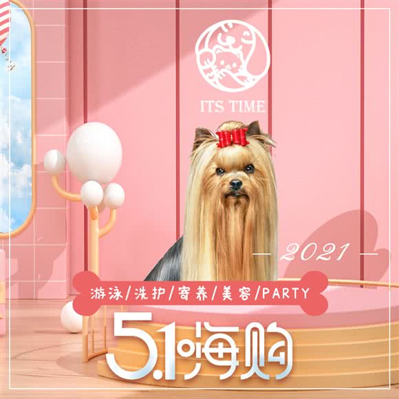 its time红姐精品宠物生活馆:南京市建邺区集庆门大街附近