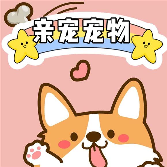 亲宠宠物馆:南京市建邺区西善桥/油坊桥附近