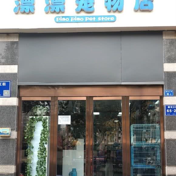 漂漂宠物店(河西店):南京市建邺区中央商场/嘉业国际附近