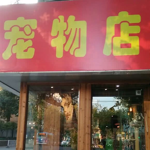 鼠鼠动人宠物专营店:南京市鼓楼区山西路/湖南路附近