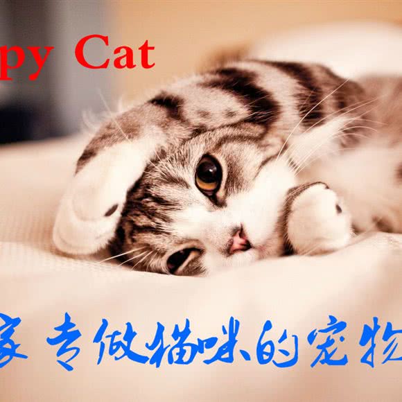 Happy cat:南京市鼓楼区南大/南师大附近