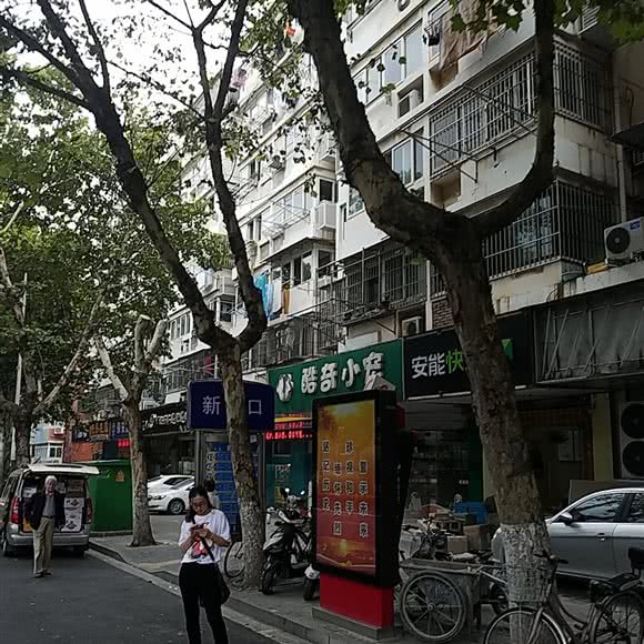 酷奇小宠(皮特宠物店):南京市鼓楼区三牌楼附近