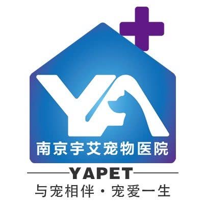 宇艾宠物医院?免疫点?特色眼科:南京市鼓楼区三牌楼附近