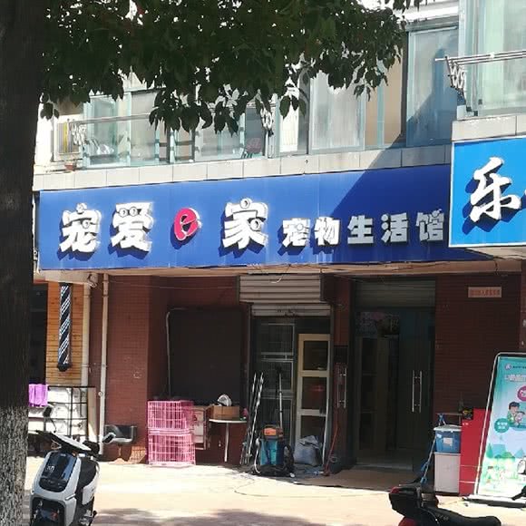 宠爱e家宠物生活馆:南京市鼓楼区幕府西路附近