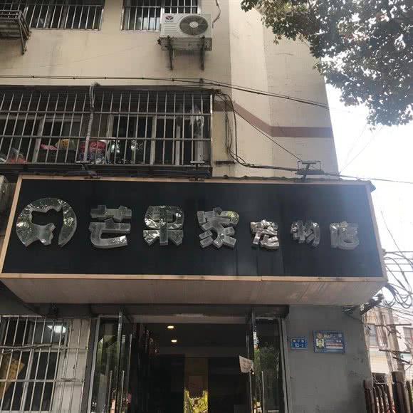 芒果家宠物店:南京市鼓楼区建宁路附近