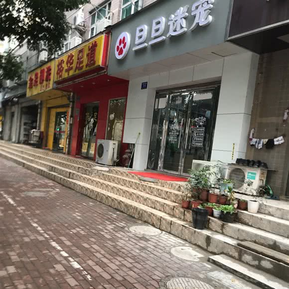 旦旦迷宠:南京市鼓楼区环宇城附近