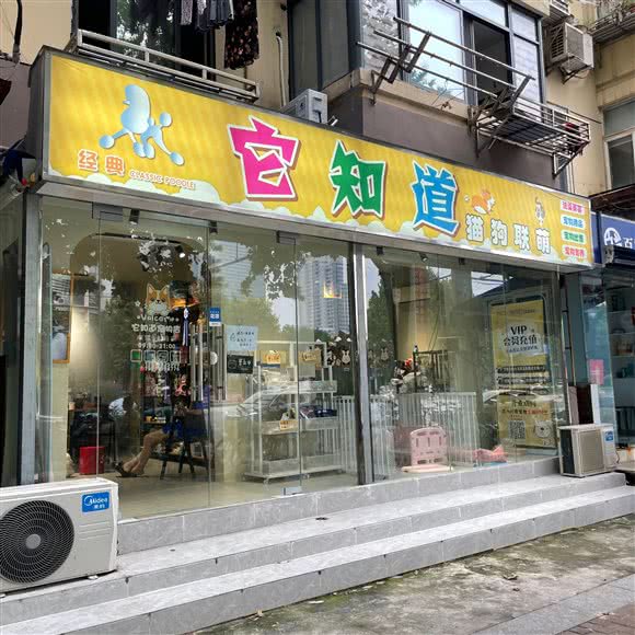 经典它知道猫狗联萌:南京市鼓楼区南瑞路/新模范马路附近