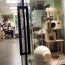 白小贱宠物店:南京市鼓楼区五塘村附近