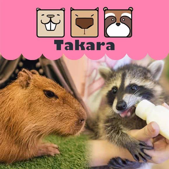 Takara(三里屯店):北京城区朝阳区三里屯/工体附近
