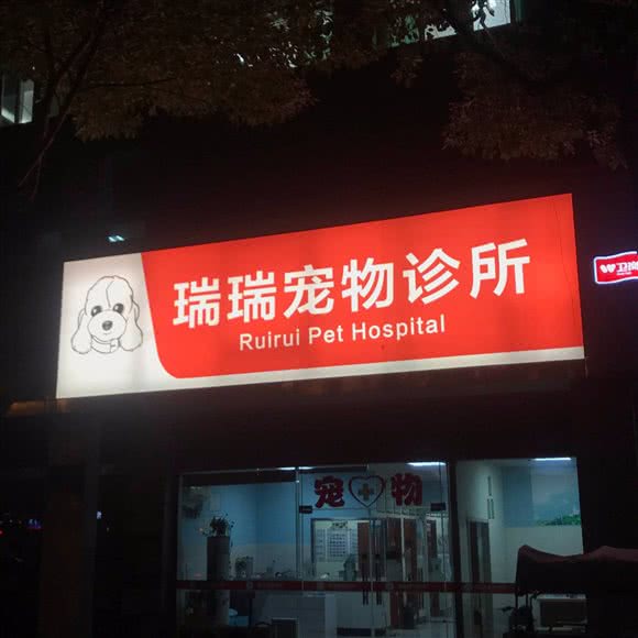 瑞瑞宠物诊所:南京市浦口区江浦附近