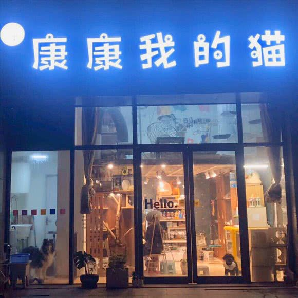 康康我的猫:南京市浦口区华侨城附近