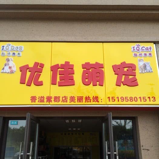 优佳萌宠(香溢紫郡店):南京市浦口区高新区附近