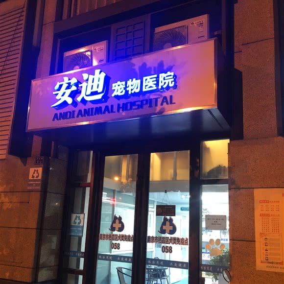 安迪宠物医院:南京市栖霞区仙林大学城附近
